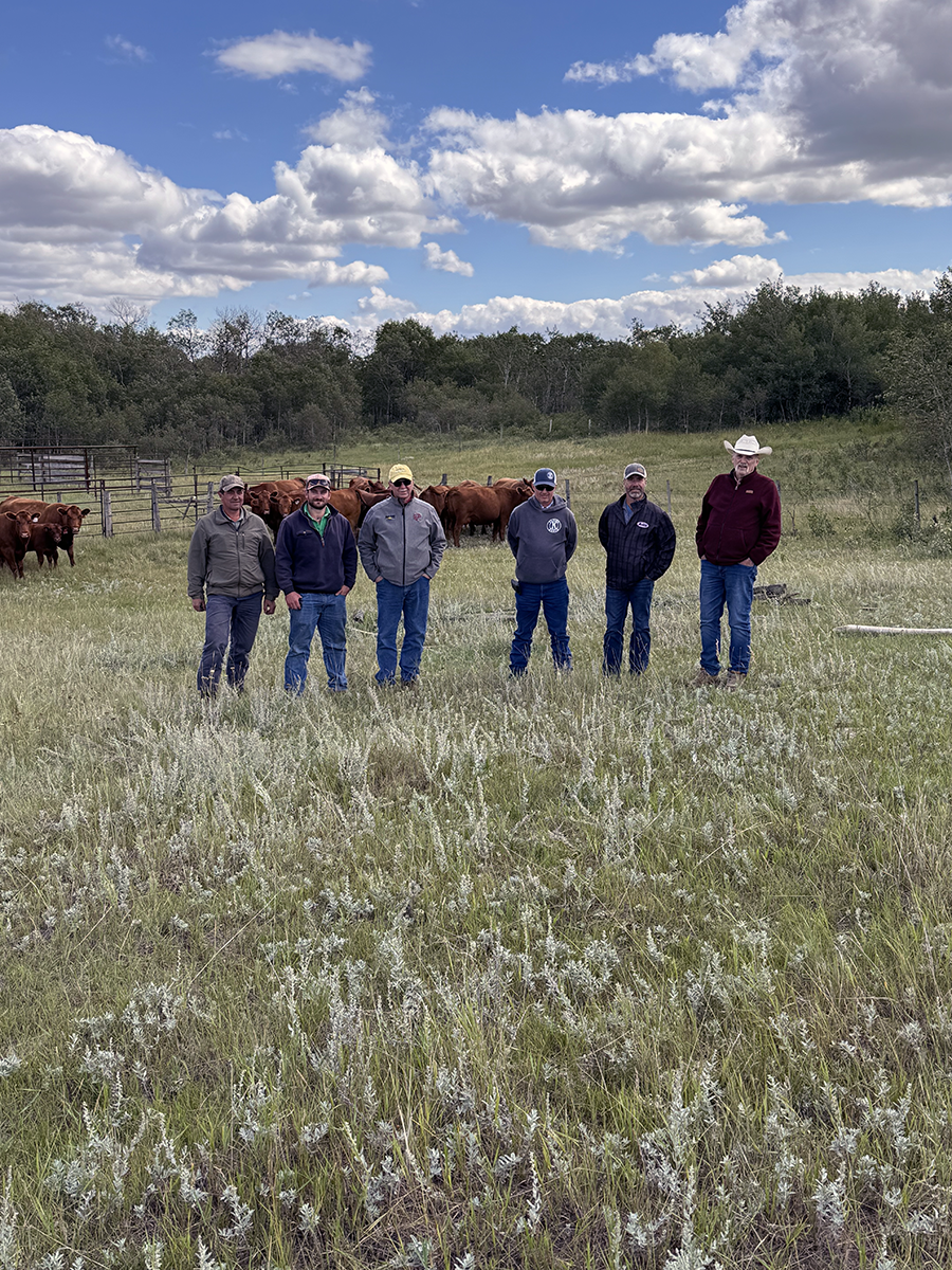 Hill 70 Quantock Ranch​ 8